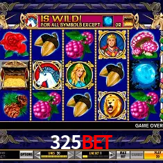 325bet Rio de Janeiro - Bonus Terms